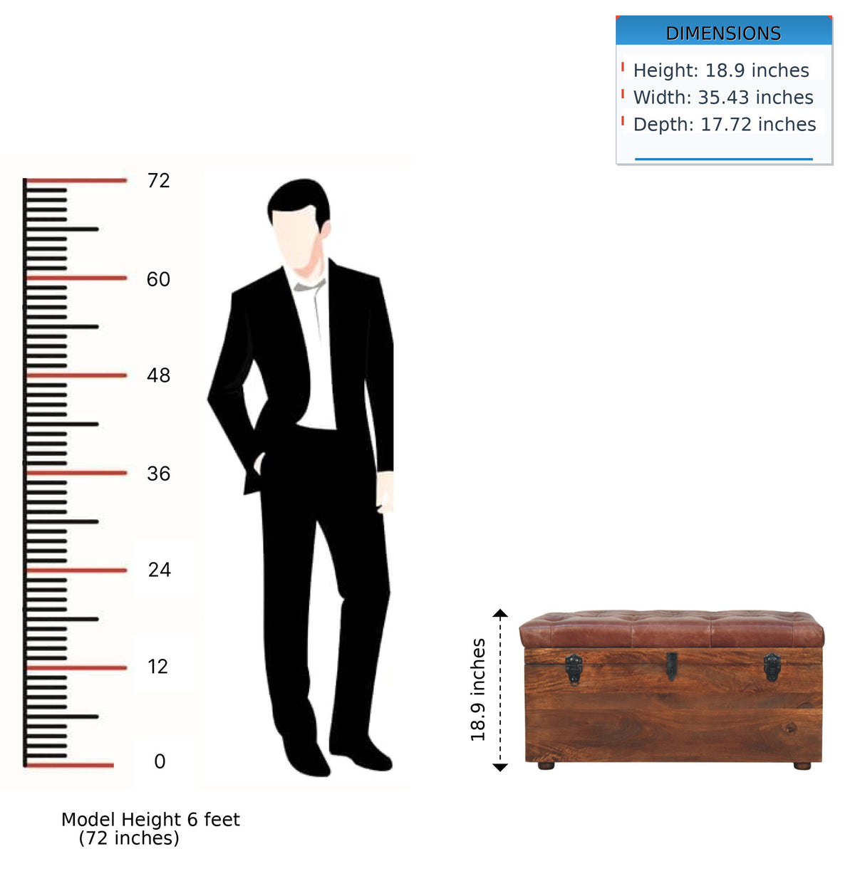 Buffalo - Storage Trunk