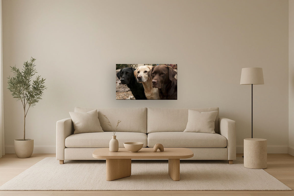 Mixed Media Canvas Dogs - Dark Brown