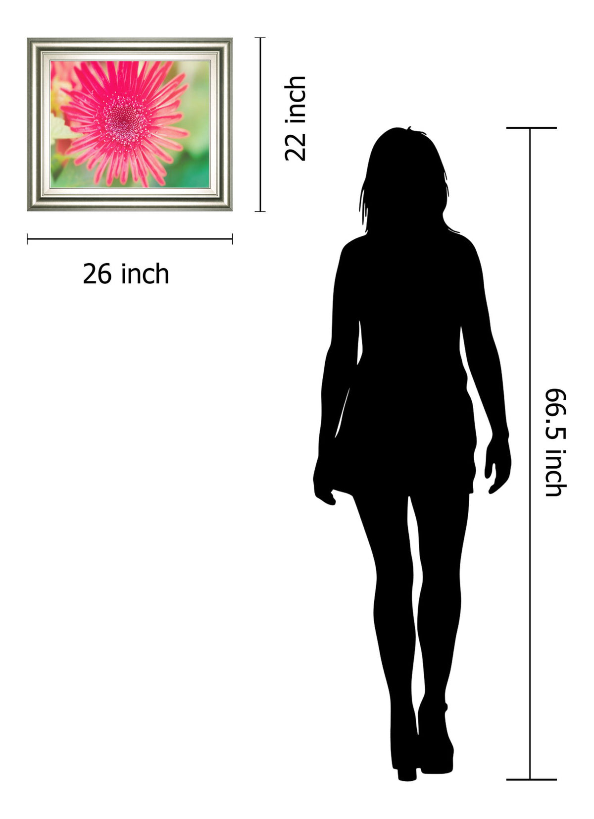 Pink Gerbera By Susan Bryant - Framed Print Wall Art - Pink