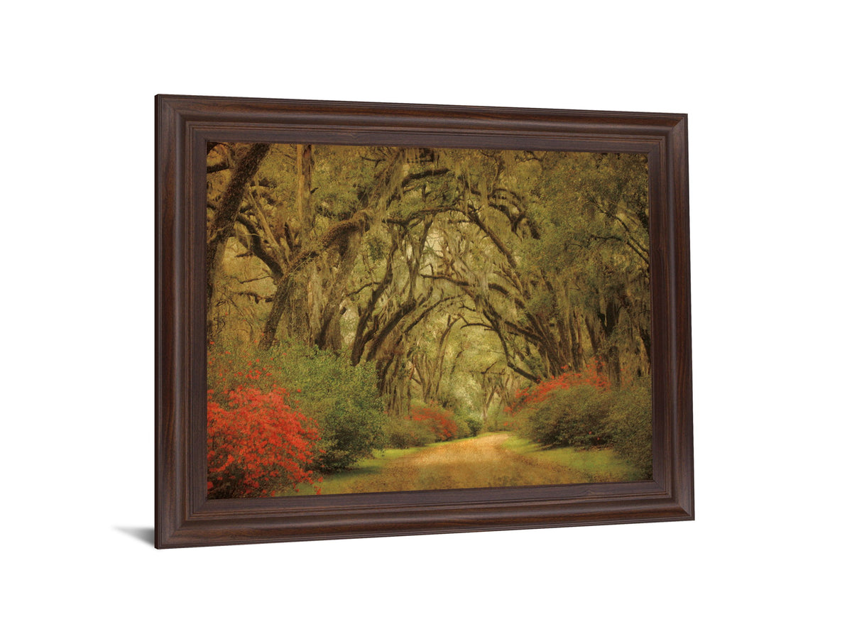 Mossy Woodland Trail - 28" x 34" Framed Wall Art - Green