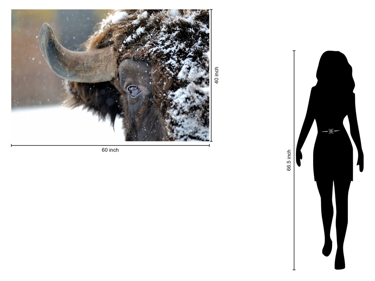 Tempered Glass With Foil - Snowy Bison - Dark Brown
