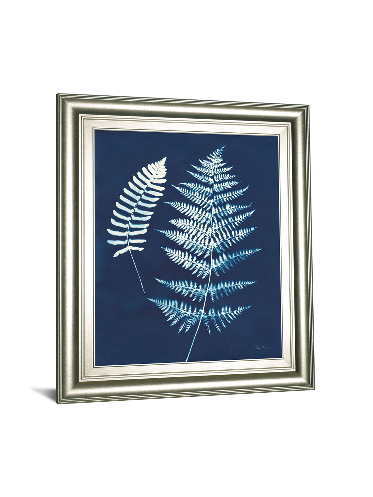 Nature By The Lake Ferns V By Piper Rhue - Framed Print Wall Art - Blue