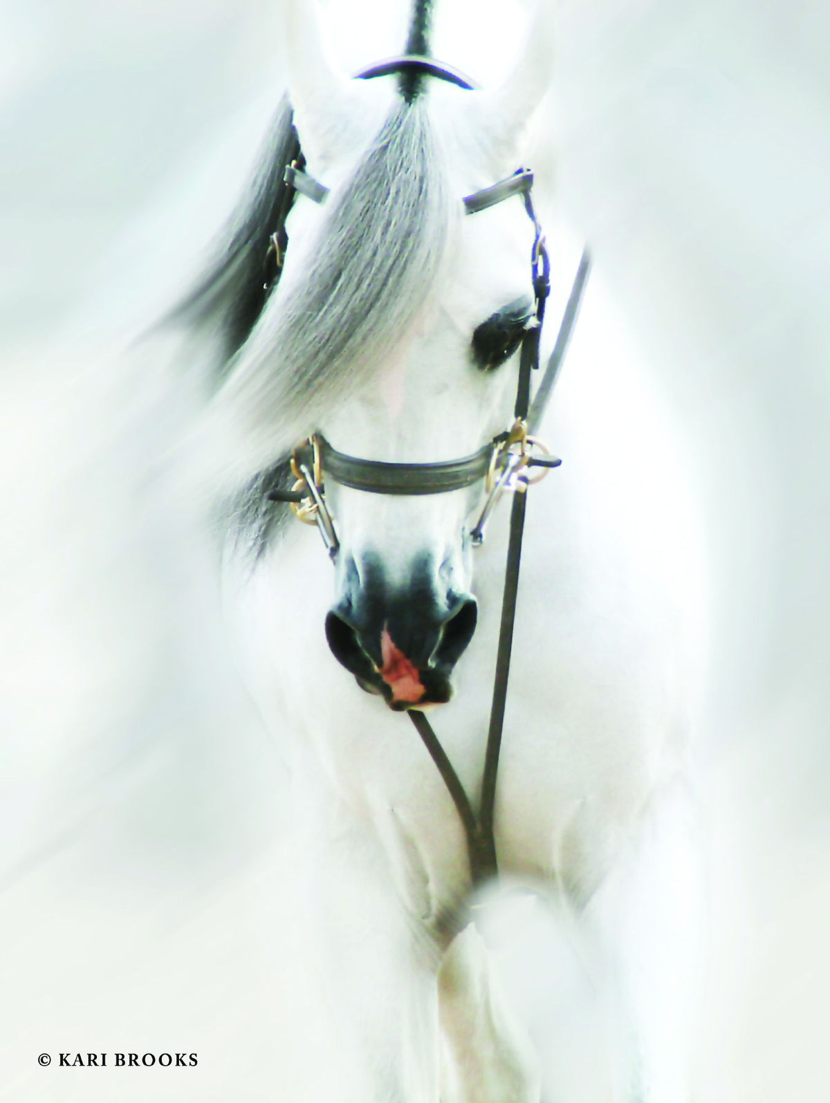 Framed - Dream Horse By Kari Brooks - Silver
