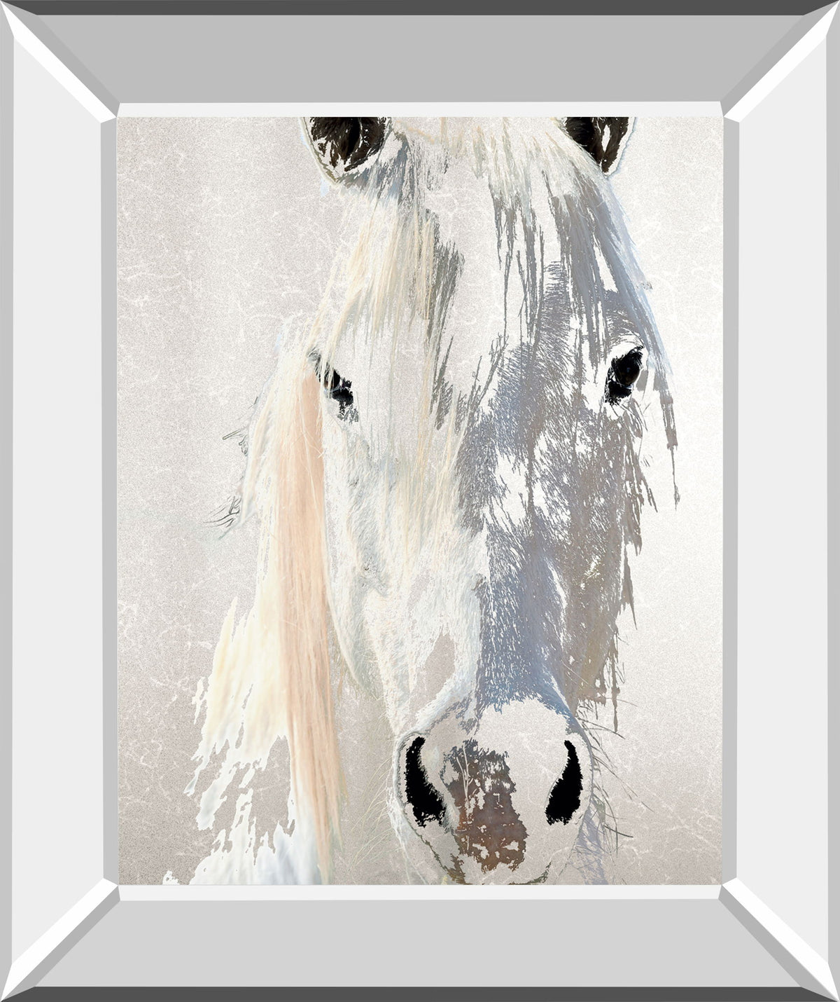 Sage By Marvin Pelkey - Mirror Framed Print Wall Art - Gray