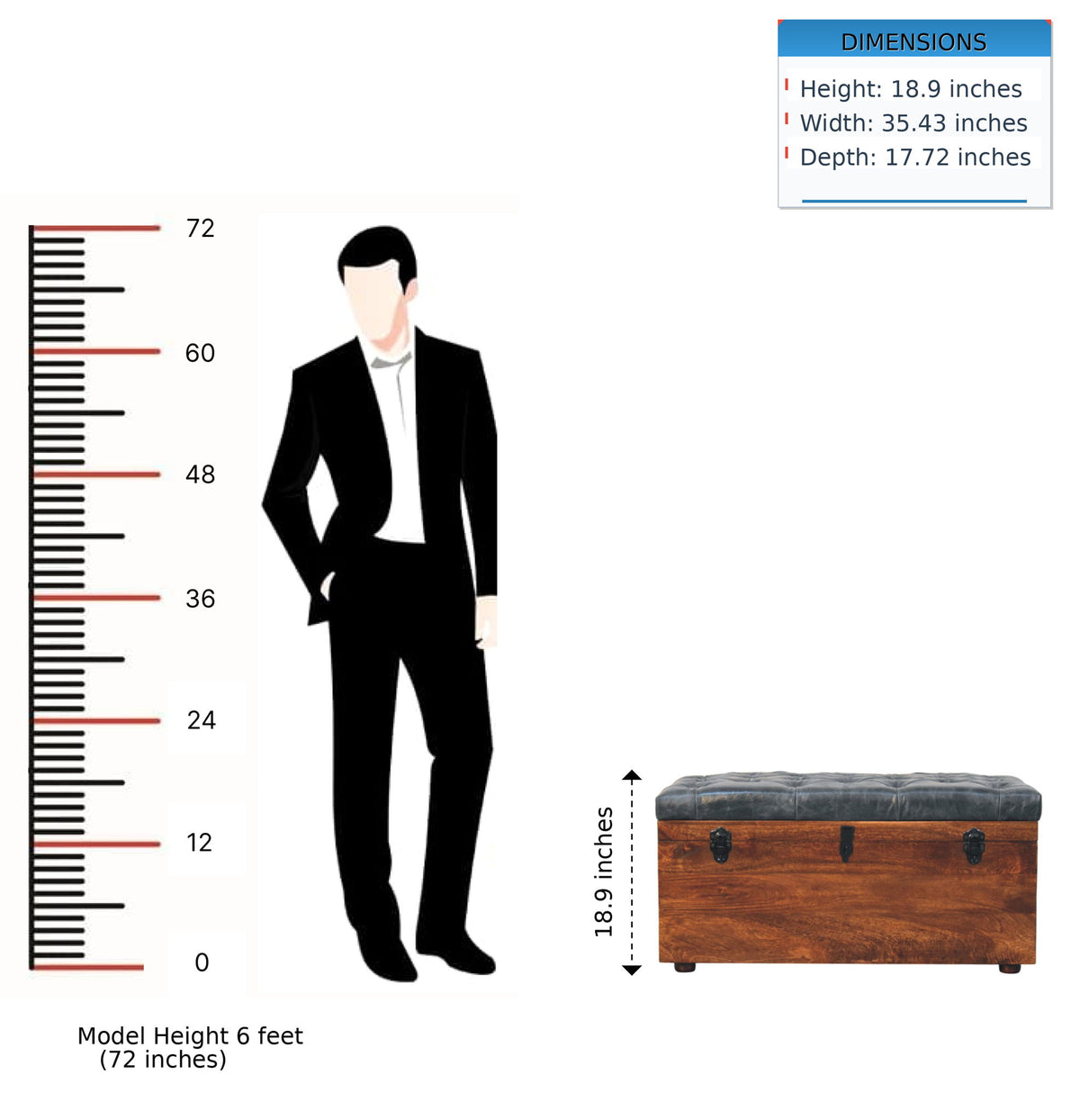 Buffalo - Storage Trunk