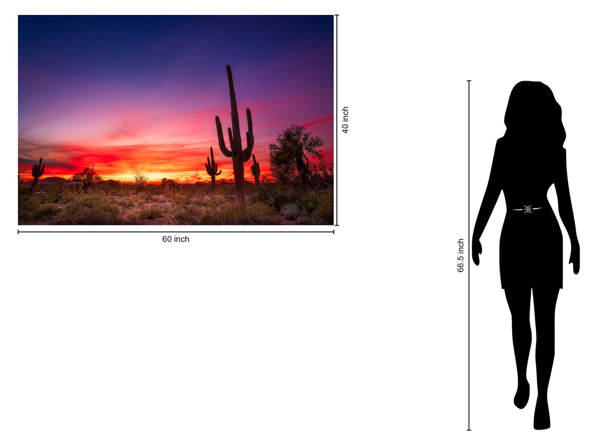 Tempered Glass With Foil - Desert Cactus - Purple
