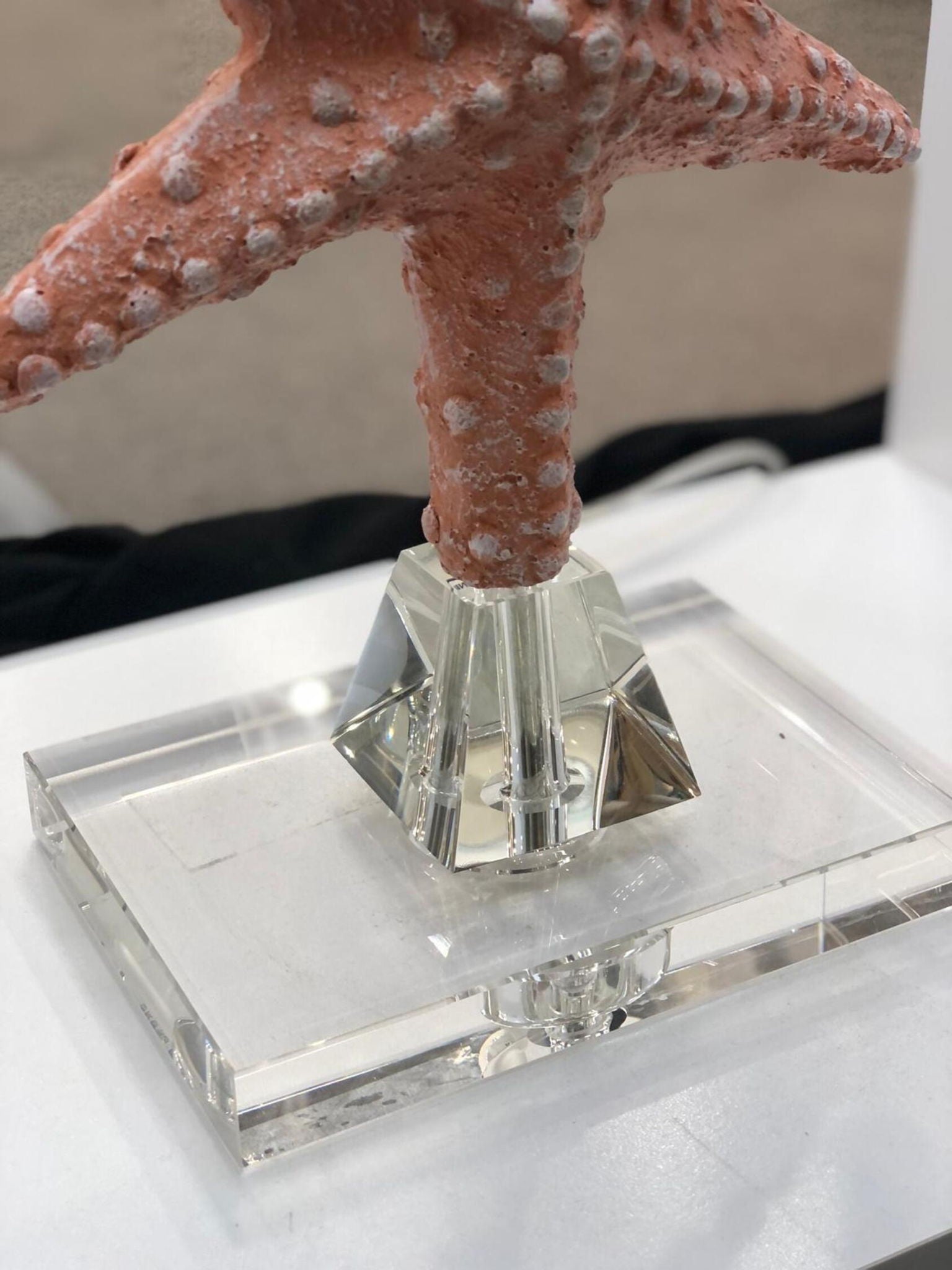 Patrick - Starfish With Crystal Base (Set of 2)