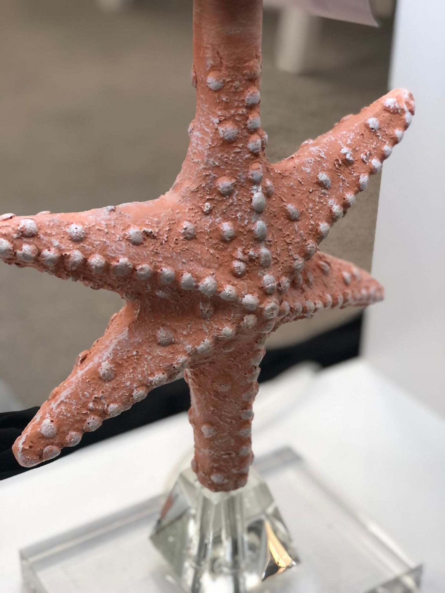Patrick - Starfish With Crystal Base (Set of 2)