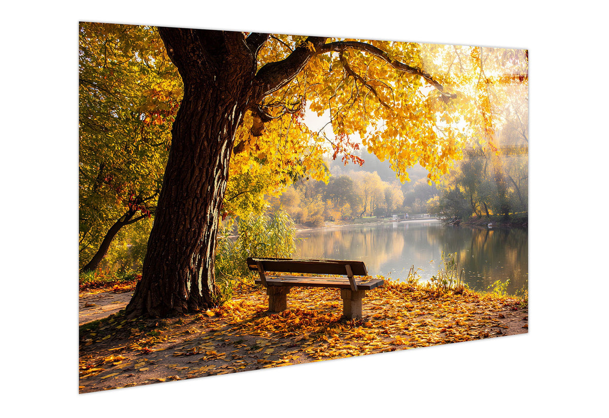 Autumn Lakeside Tempered Glass With Foil - Gold / Brown