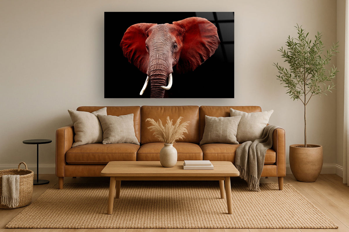 Tempered Glass Plus Foil Elephant - Red