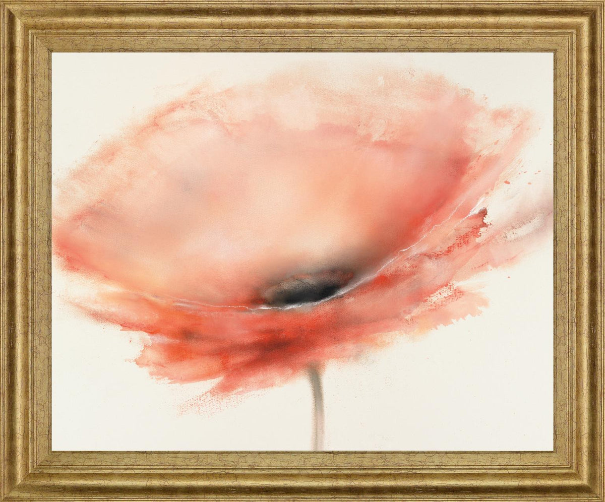 Coral Mist - 28" x 34" Framed Wall Art - Pink
