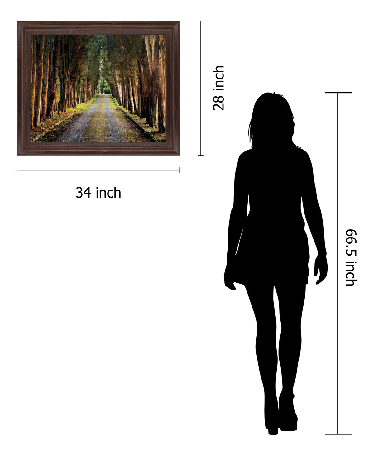 Woodland Passage - 28" x 34" Framed Wall Art - Green