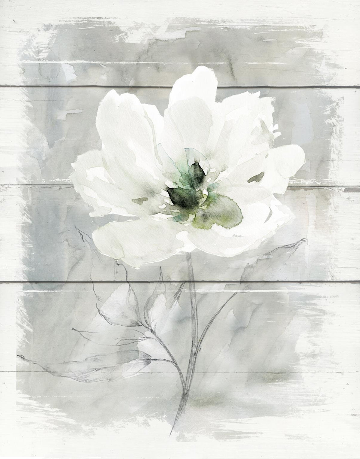 Small - Farmhouse Rose II By Carol Robinson - Silver