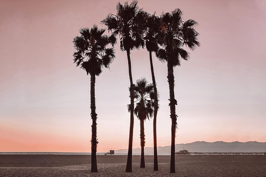Santa Monica Pinks By Natalie Carpentieri - Pink