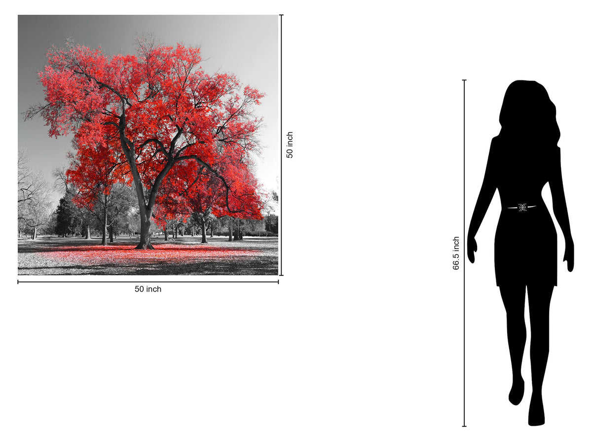 Temp Glass With Foil - Red Tree - Red