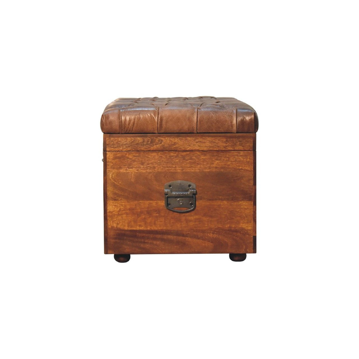Buffalo - Storage Trunk