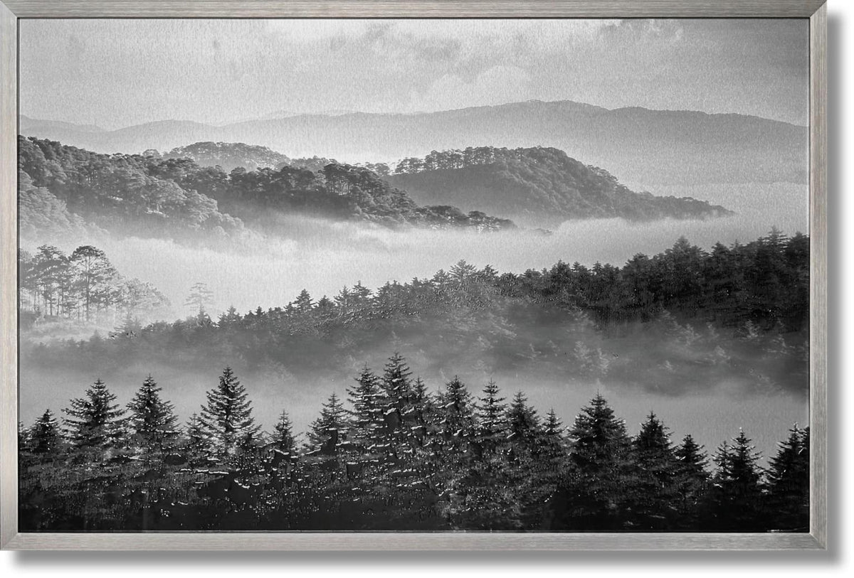 Misty Pine Veil - 32" x 47" Framed Wall Art - Gray