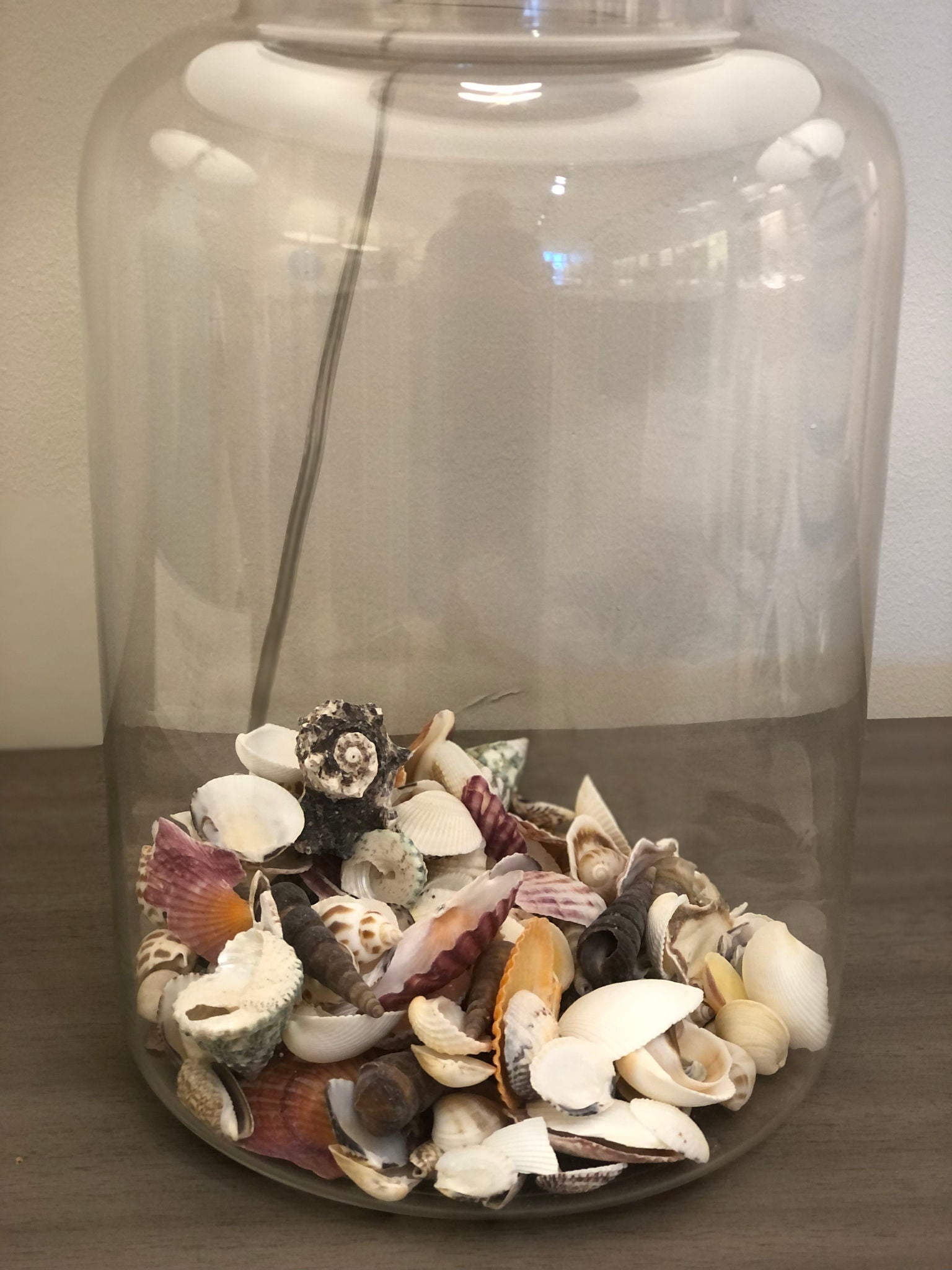 Shoreline Treasures - 27" Glass Table Lamp With Seashells and Burlap Shade (Set of 2) - Clear