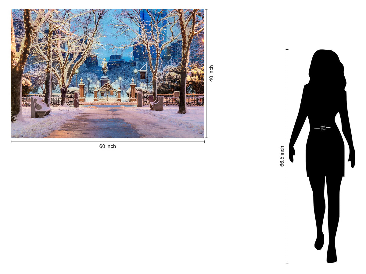 Tempered Glass With Foil - Boston In Winter - Light Blue