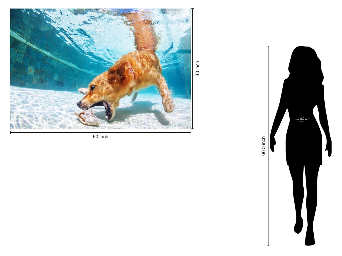 Poolside Retriever Tempered Glass - Blue / White