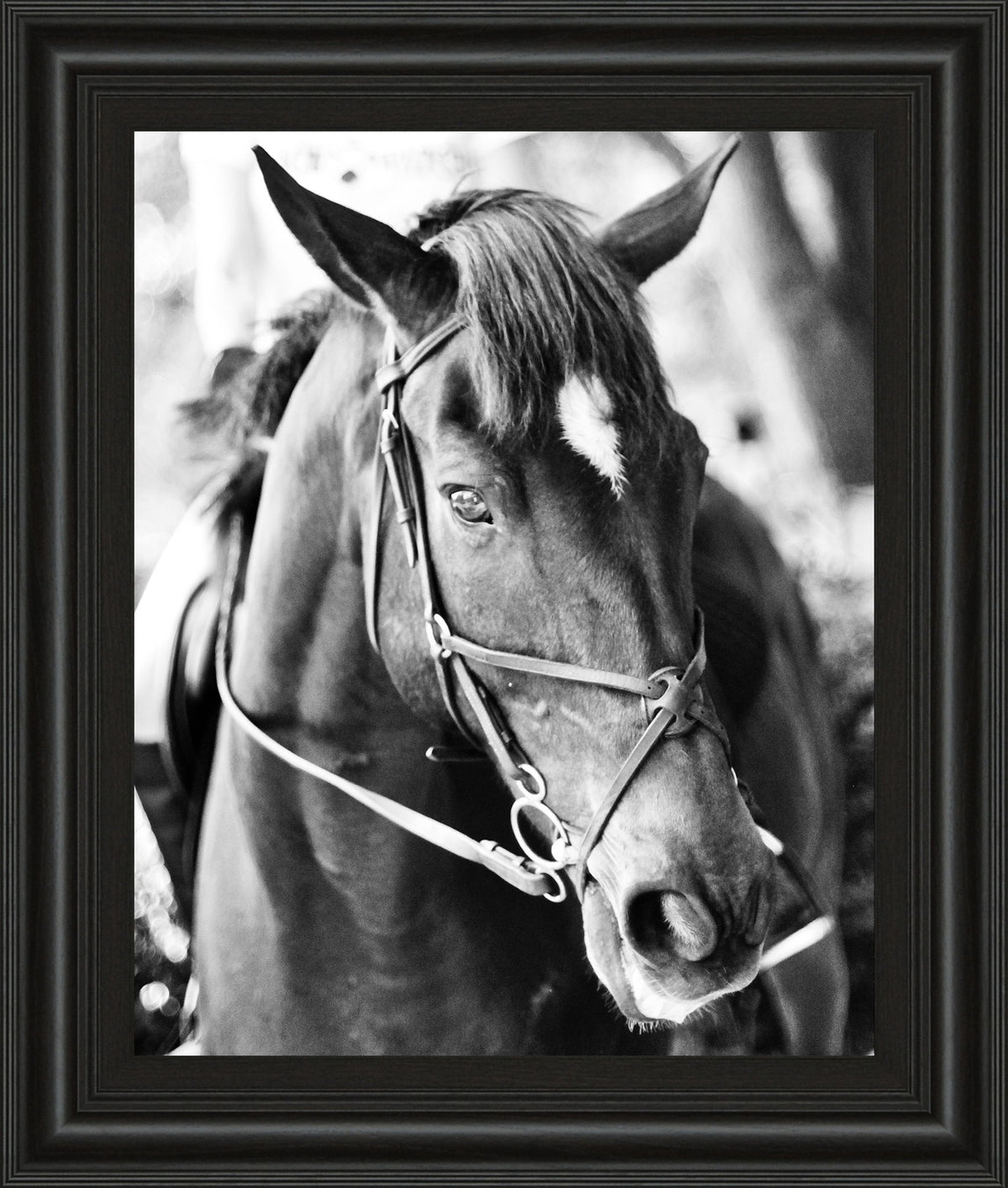 Derby I By Susan Bryant - Framed Print Wall Art - Dark Gray