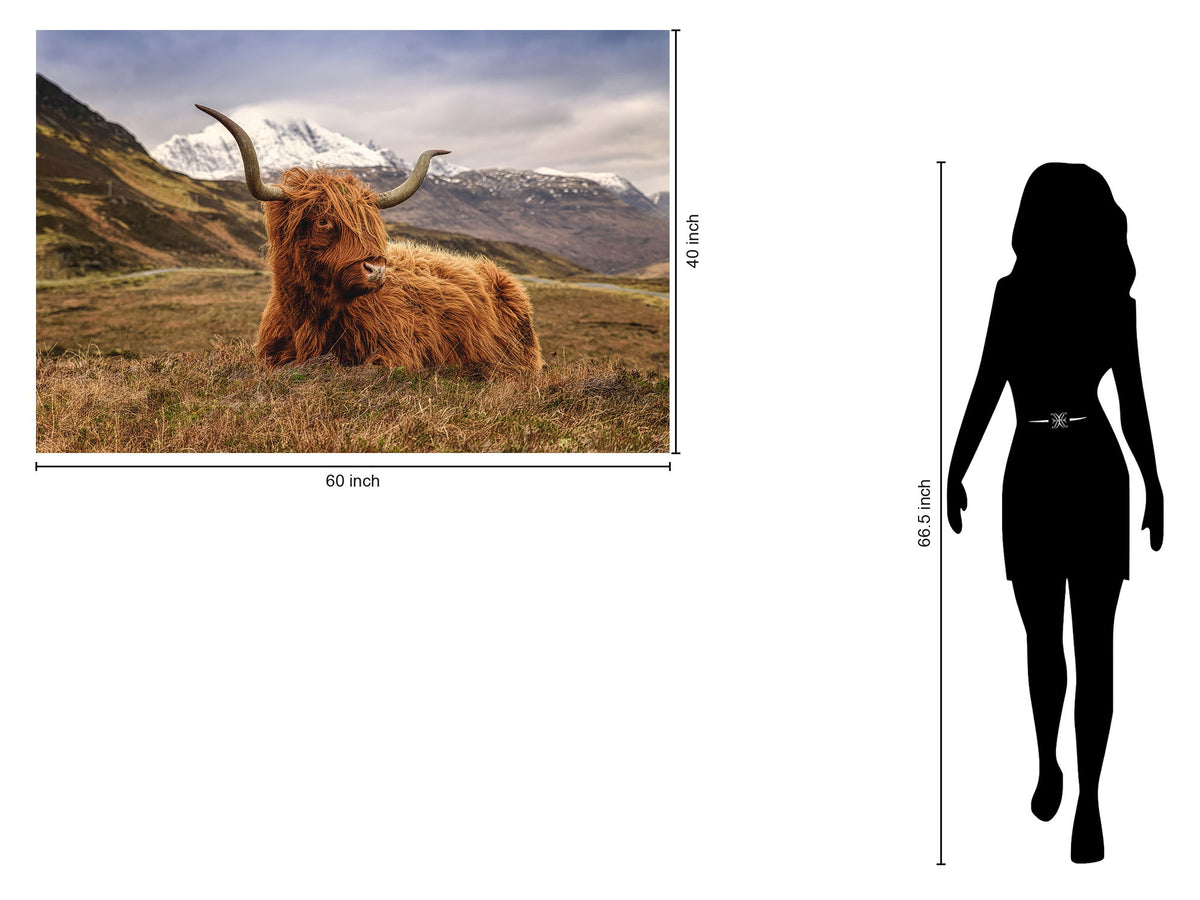 Tempered Glass With Foil - Highland Cow 2 - Light Brown