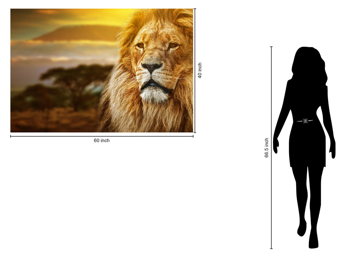 Tempered Glass With Foil - Lion Safari - Light Brown