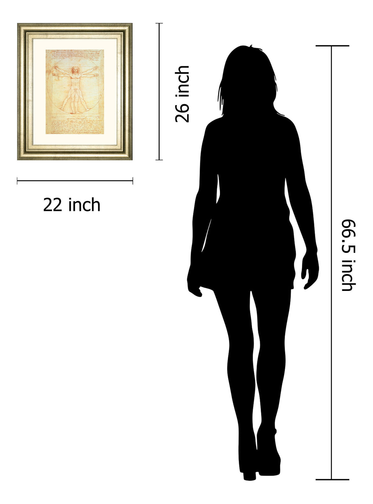 Vituvian Man By Leonardo Da Vinci - Framed Print Wall Art - Gold