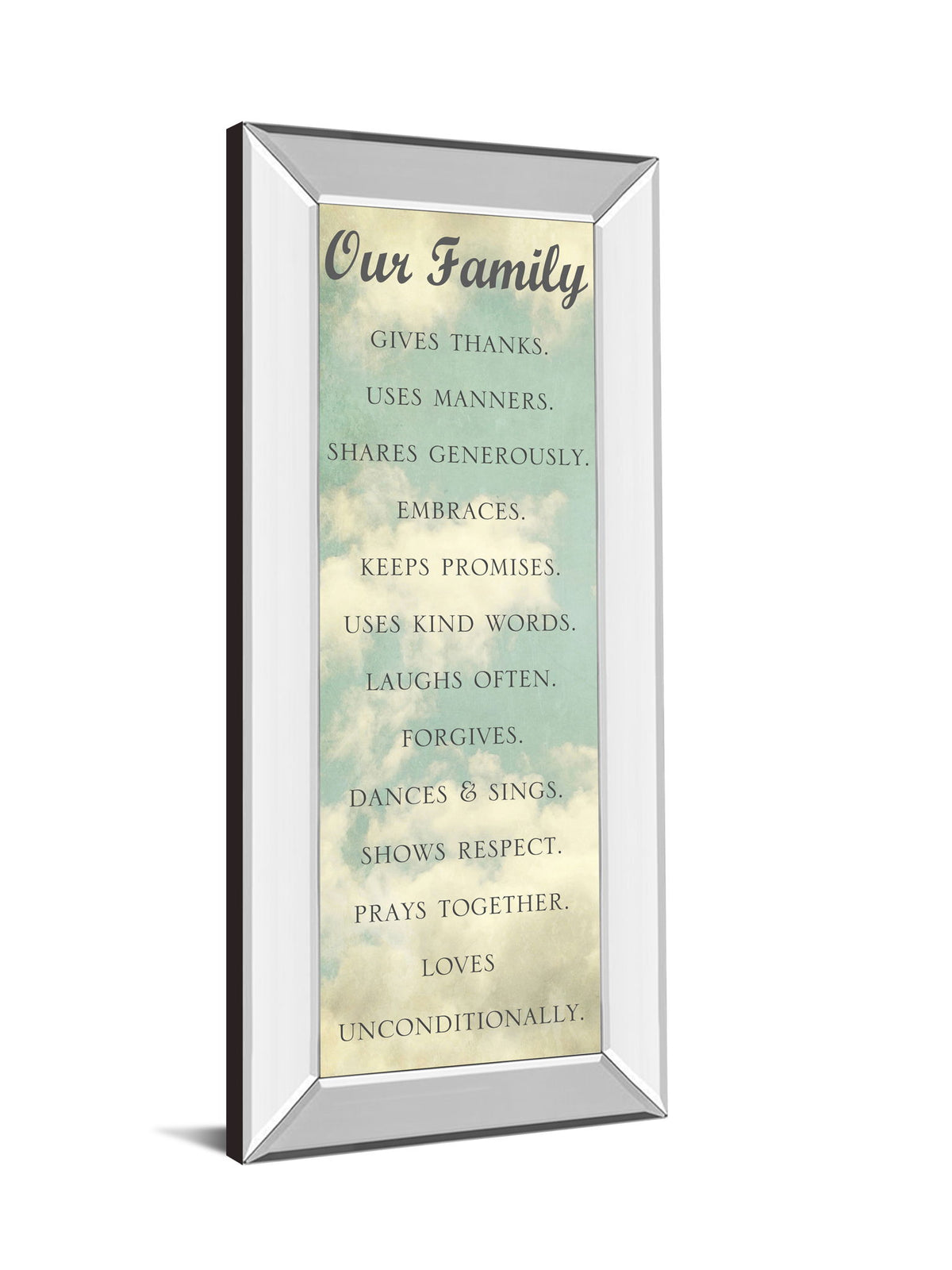 Our Family By Sarah Gardner - Mirror Framed Print Wall Art - Light Blue