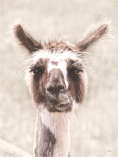 Quizzical Alpaca By Lori Deiter (Small) - Silver