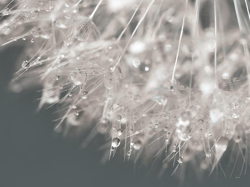 Droplet In Time II By Lori Deiter (Framed) - Gray