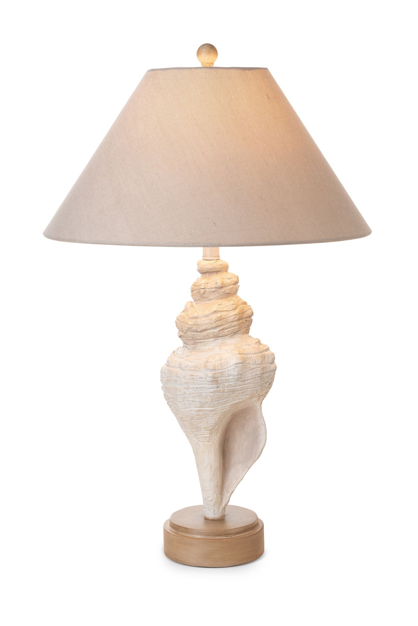 Conch - Seashell Coastal Table Lamp (Set of 2) - Natural