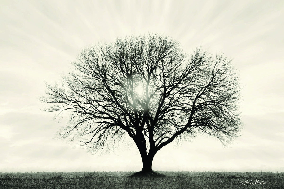 Small - Grow In Different Directions By Lori Deiter - Silver