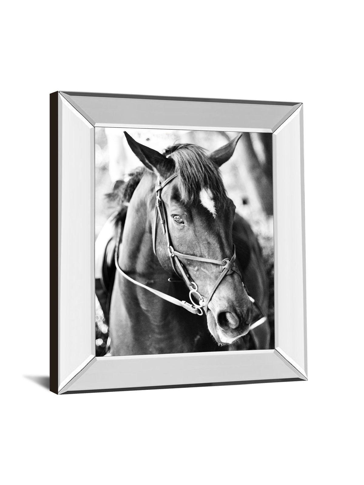 Derby I By Susan Bryant - Mirror Framed Print Wall Art - Dark Gray